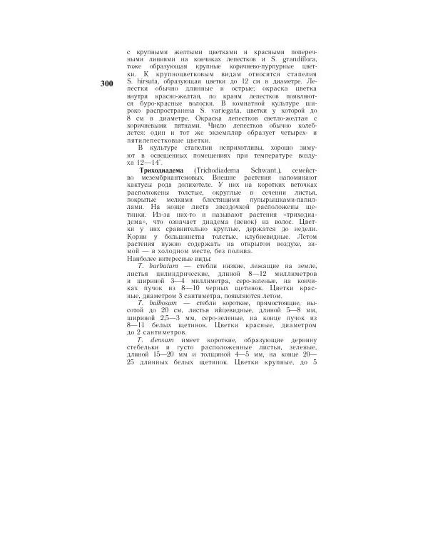 Савур Турдиев - Кактусы - Страница № 300