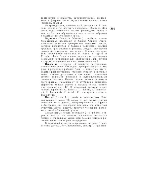 Савур Турдиев - Кактусы - Страница № 301