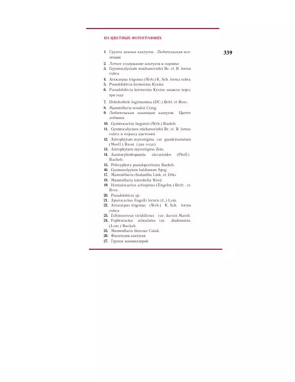 Савур Турдиев - Кактусы - Страница № 339