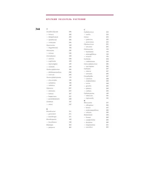 Савур Турдиев - Кактусы - Страница № 344