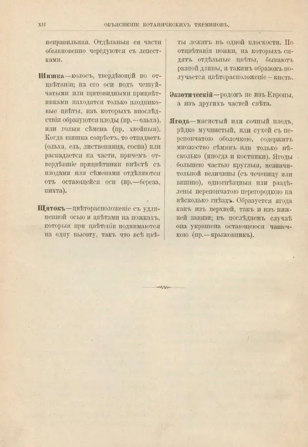 М. Вилькоммъ - Ботанический атлас - Страница № 16