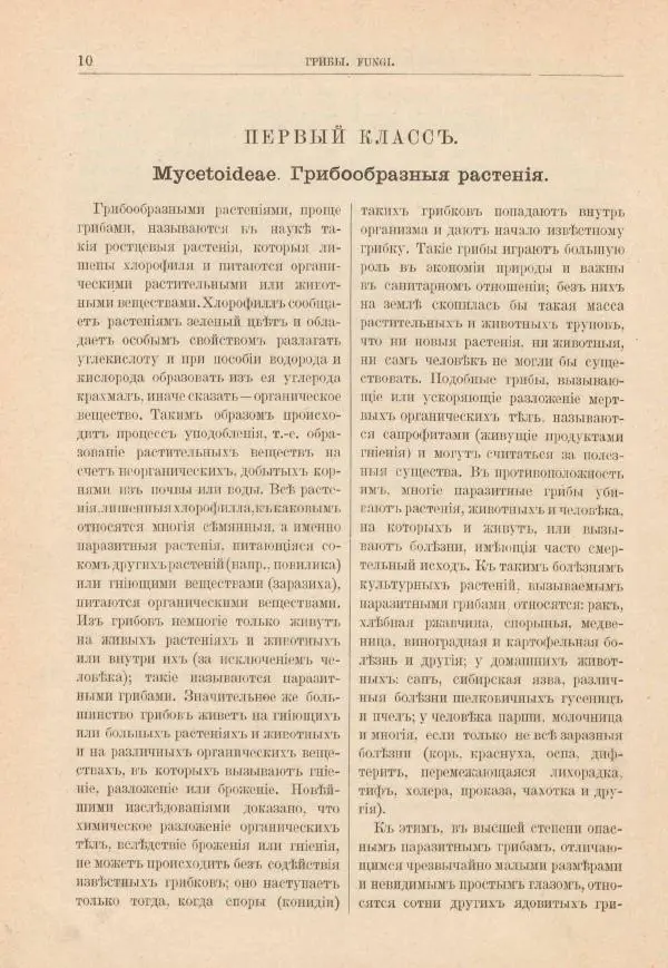 М. Вилькоммъ - Ботанический атлас - Страница № 26