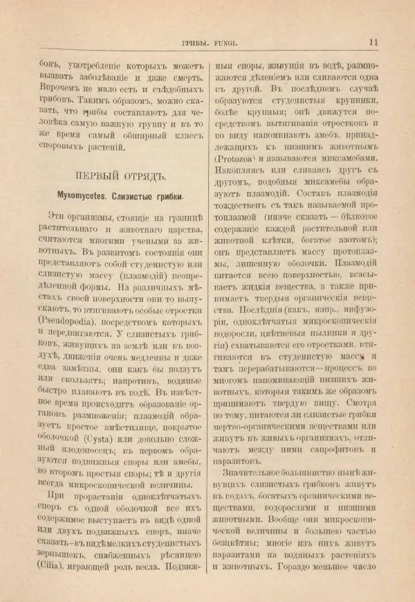 М. Вилькоммъ - Ботанический атлас - Страница № 27