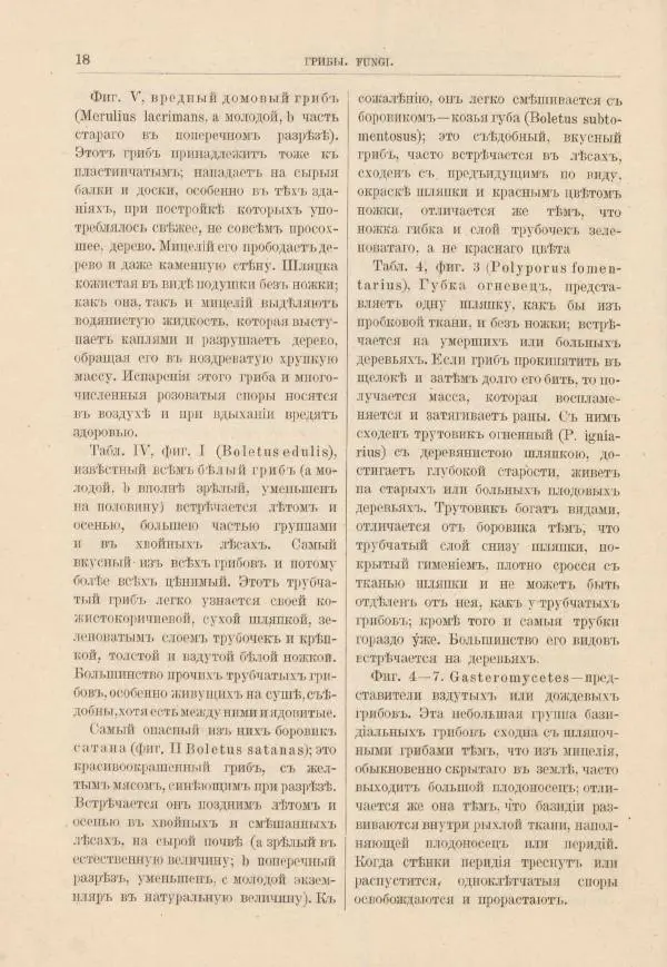 М. Вилькоммъ - Ботанический атлас - Страница № 34
