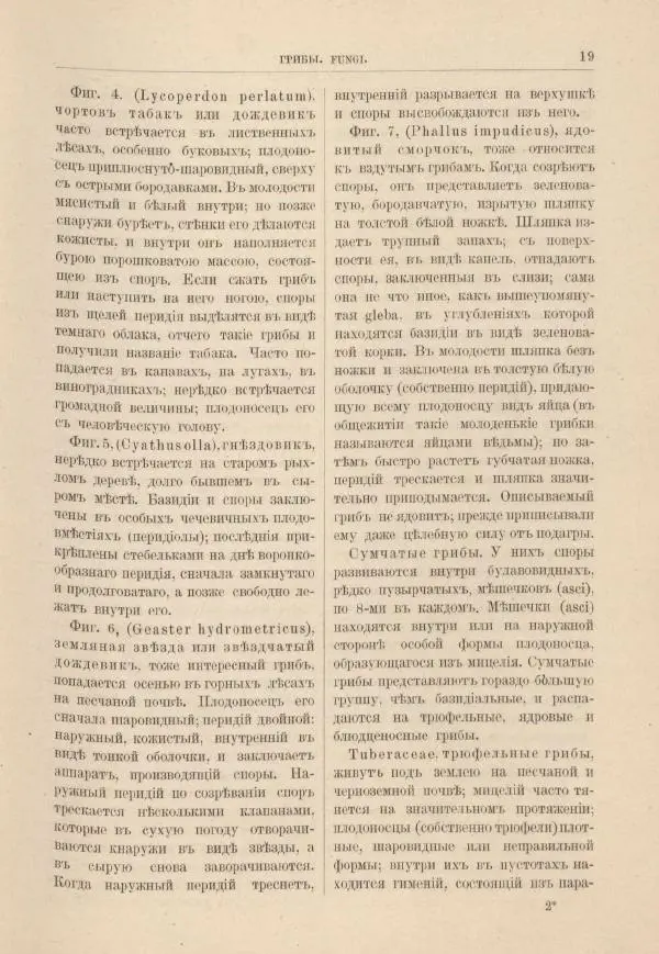 М. Вилькоммъ - Ботанический атлас - Страница № 35