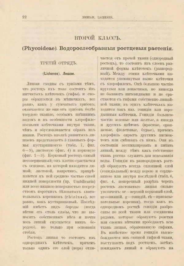 М. Вилькоммъ - Ботанический атлас - Страница № 38