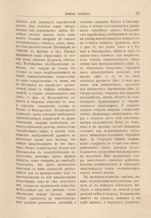 М. Вилькоммъ - Ботанический атлас - Страница № 39