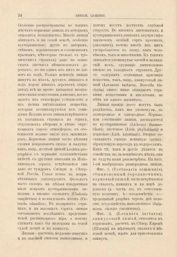 М. Вилькоммъ - Ботанический атлас - Страница № 40