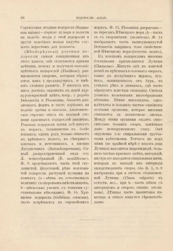 М. Вилькоммъ - Ботанический атлас - Страница № 44