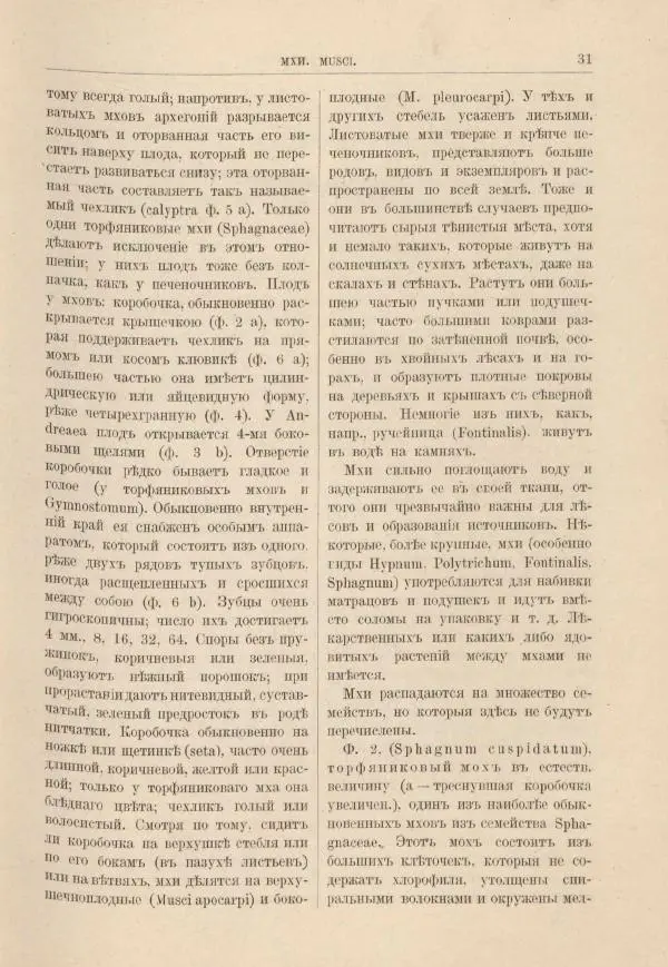 М. Вилькоммъ - Ботанический атлас - Страница № 47