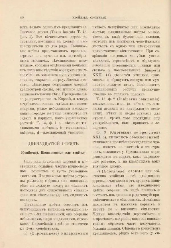 М. Вилькоммъ - Ботанический атлас - Страница № 56