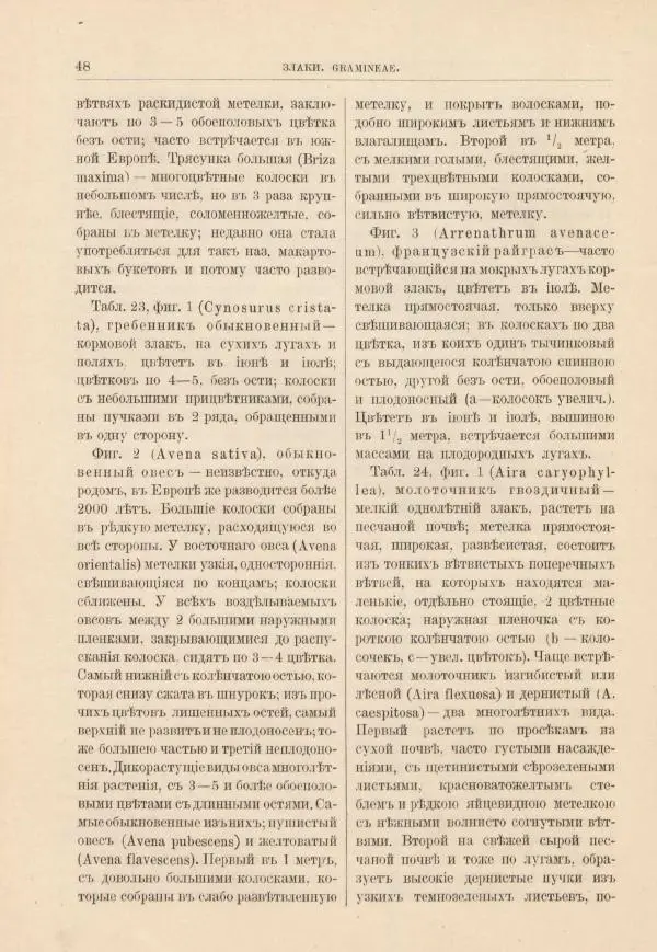 М. Вилькоммъ - Ботанический атлас - Страница № 64
