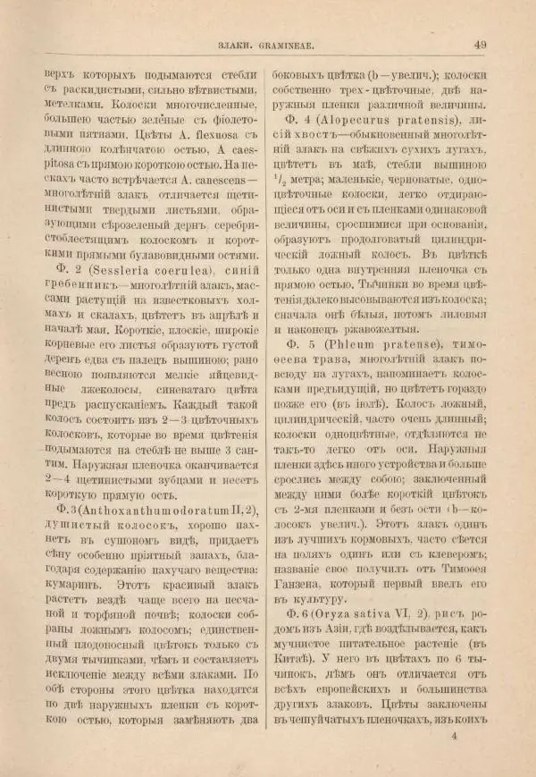 М. Вилькоммъ - Ботанический атлас - Страница № 65