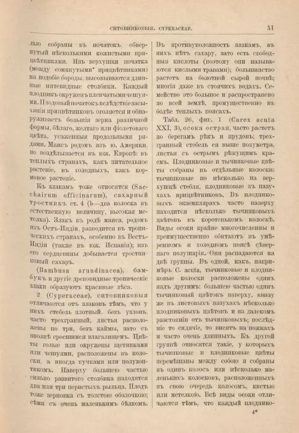 М. Вилькоммъ - Ботанический атлас - Страница № 67