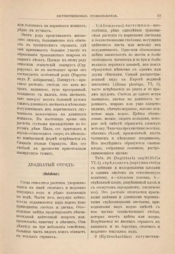 М. Вилькоммъ - Ботанический атлас - Страница № 69