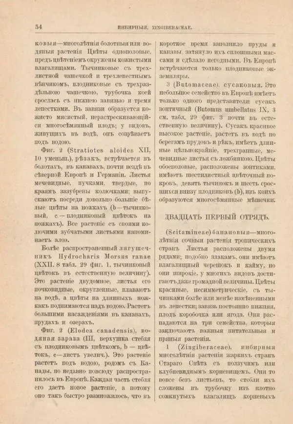 М. Вилькоммъ - Ботанический атлас - Страница № 70