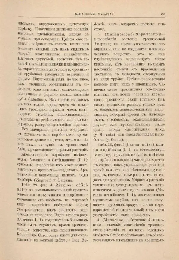 М. Вилькоммъ - Ботанический атлас - Страница № 71