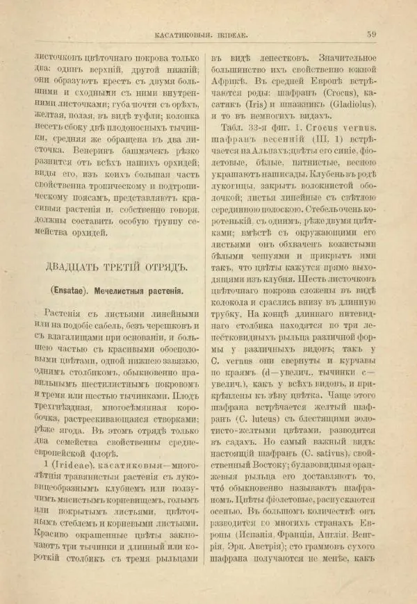 М. Вилькоммъ - Ботанический атлас - Страница № 75
