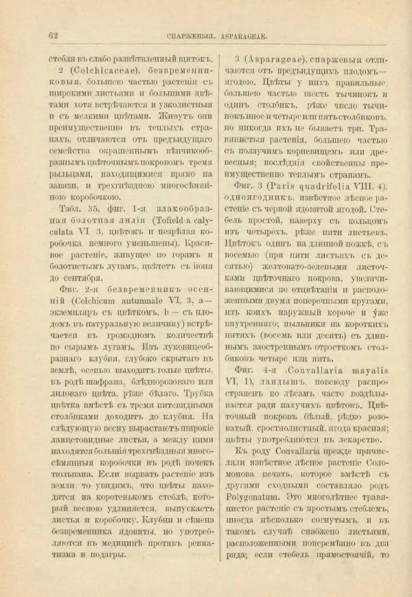 М. Вилькоммъ - Ботанический атлас - Страница № 78