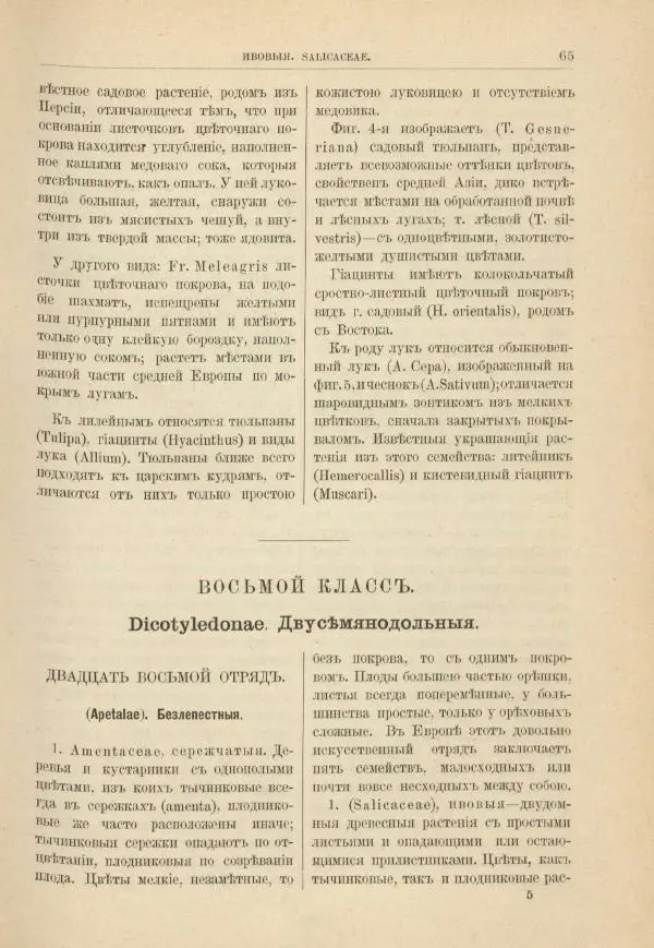 М. Вилькоммъ - Ботанический атлас - Страница № 81