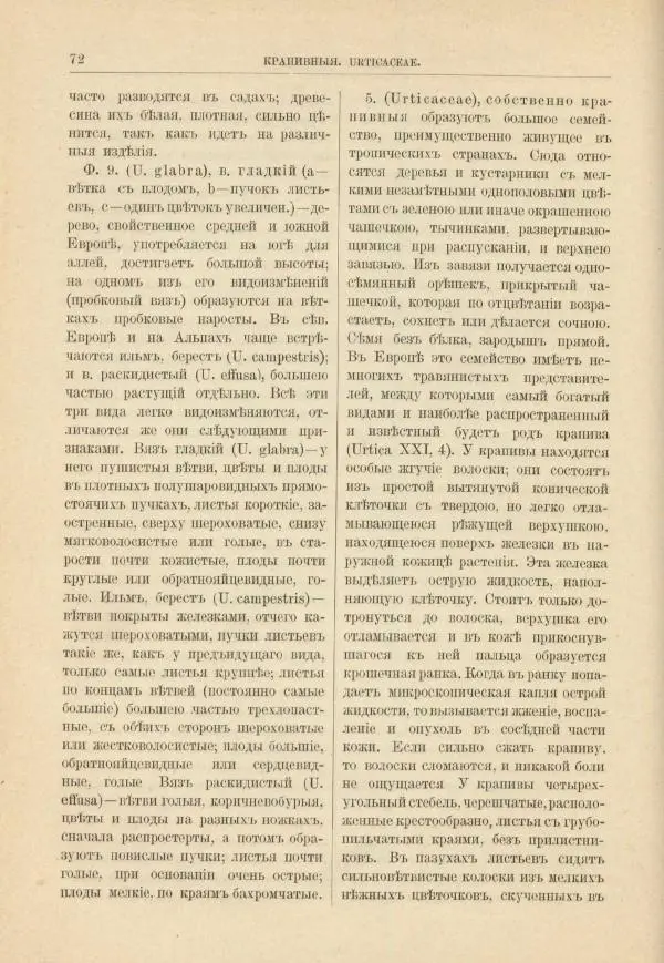 М. Вилькоммъ - Ботанический атлас - Страница № 88