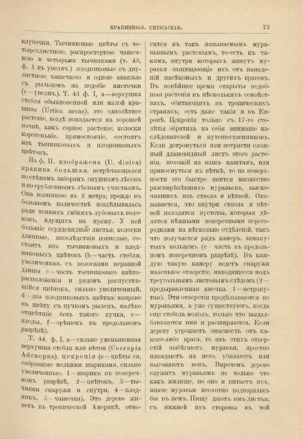 М. Вилькоммъ - Ботанический атлас - Страница № 89