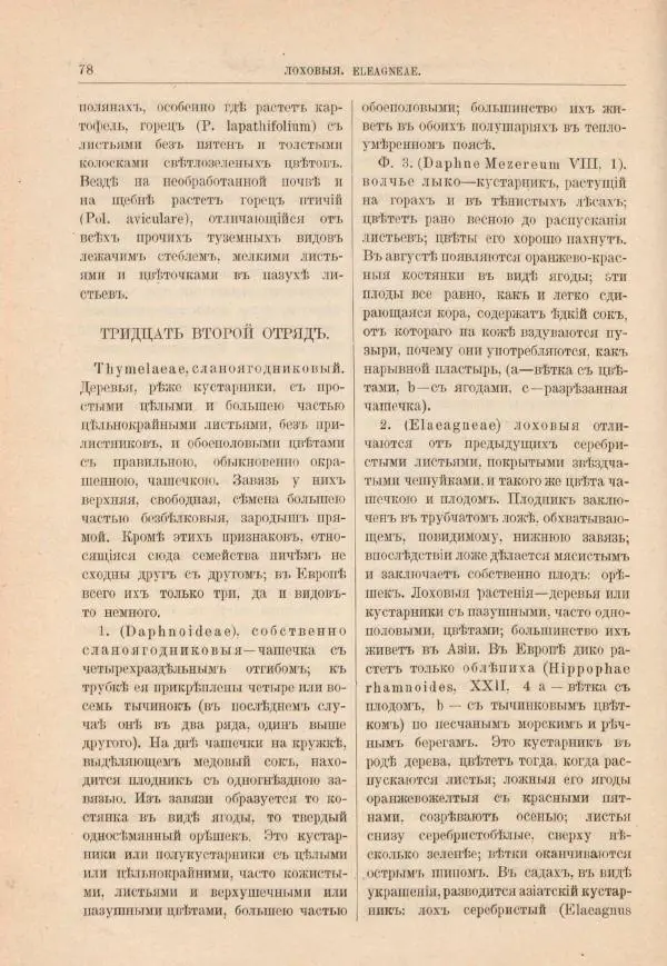 М. Вилькоммъ - Ботанический атлас - Страница № 94