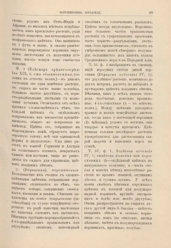 М. Вилькоммъ - Ботанический атлас - Страница № 105