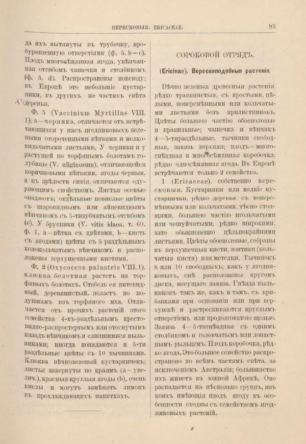 М. Вилькоммъ - Ботанический атлас - Страница № 109