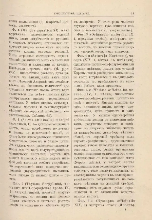 М. Вилькоммъ - Ботанический атлас - Страница № 113