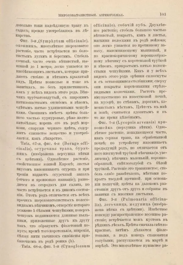 М. Вилькоммъ - Ботанический атлас - Страница № 119