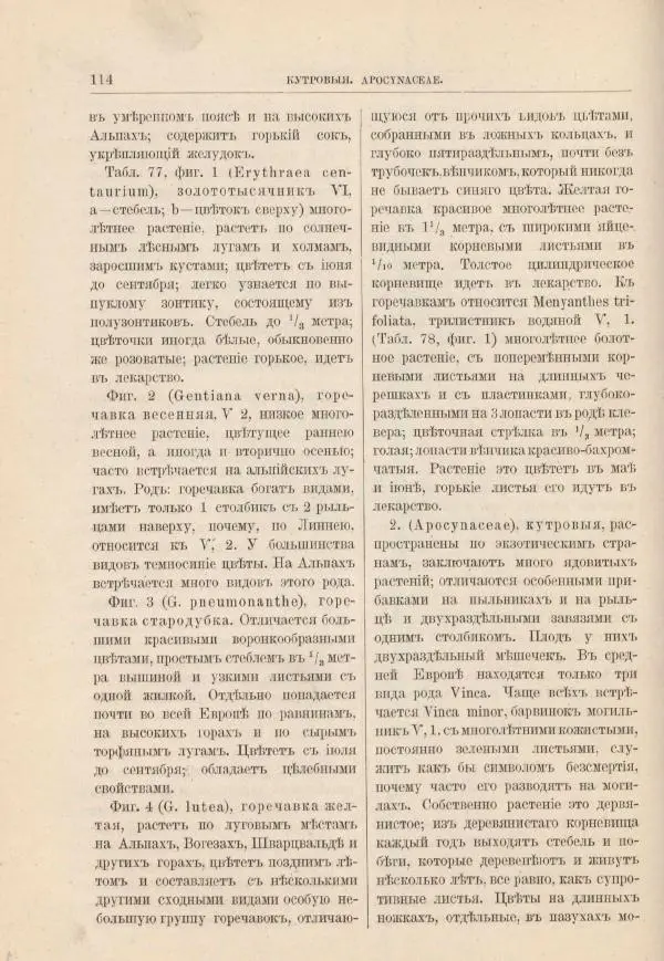 М. Вилькоммъ - Ботанический атлас - Страница № 130
