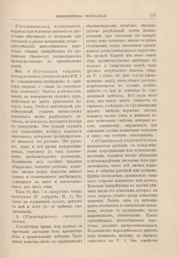 М. Вилькоммъ - Ботанический атлас - Страница № 133