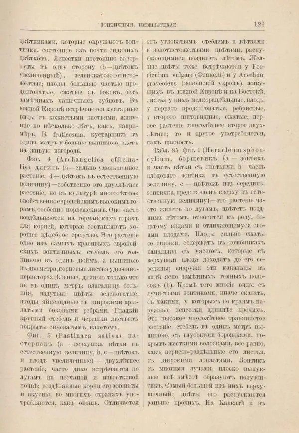 М. Вилькоммъ - Ботанический атлас - Страница № 139