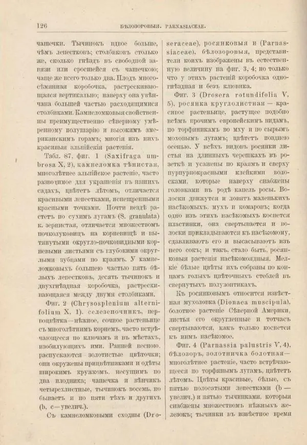 М. Вилькоммъ - Ботанический атлас - Страница № 142