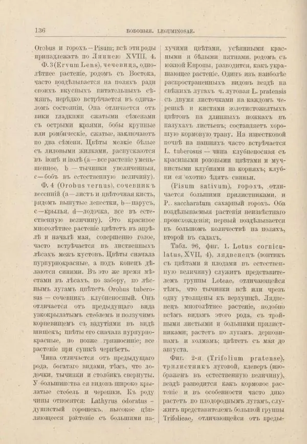 М. Вилькоммъ - Ботанический атлас - Страница № 152