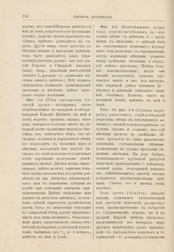 М. Вилькоммъ - Ботанический атлас - Страница № 154