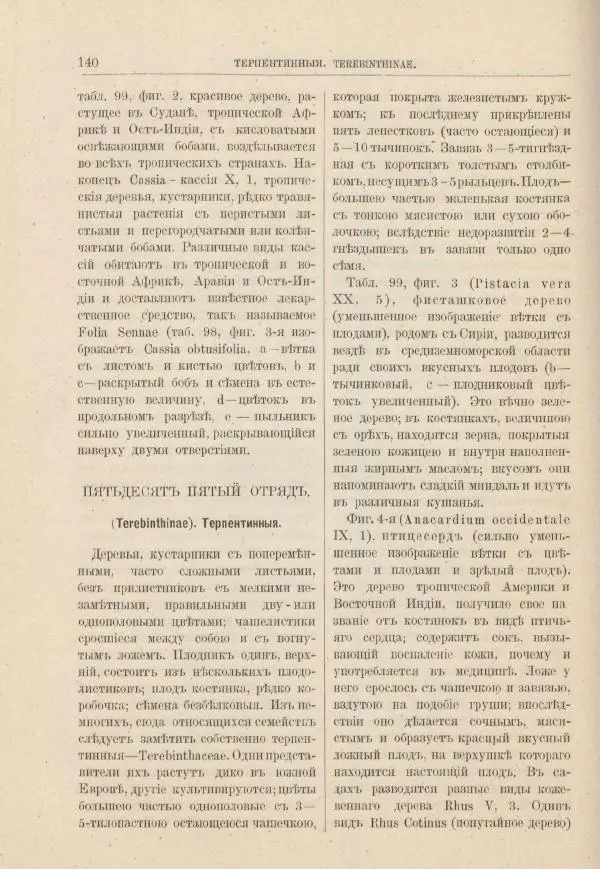 М. Вилькоммъ - Ботанический атлас - Страница № 156