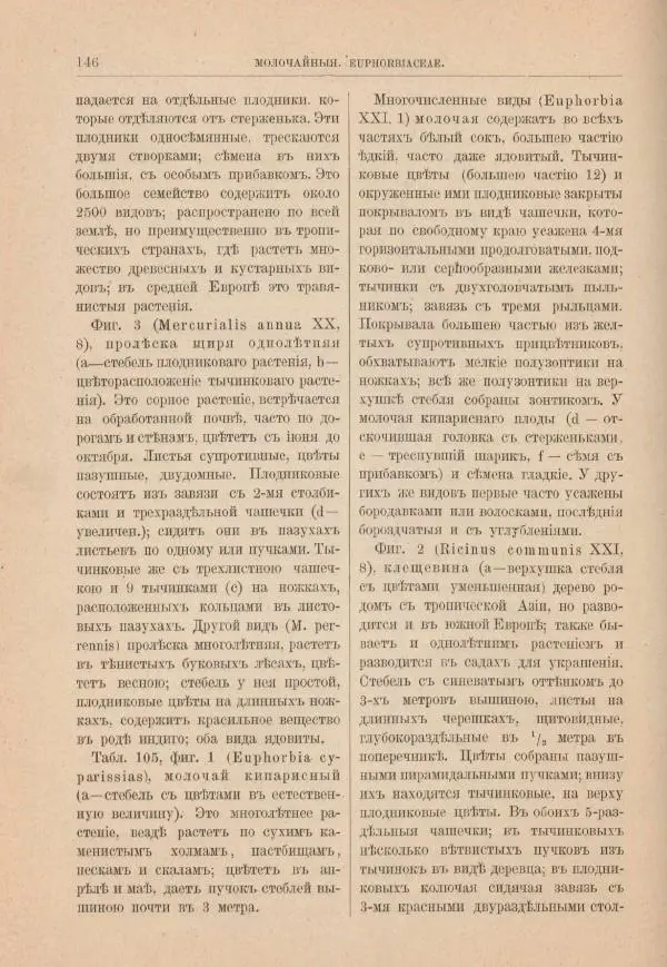 М. Вилькоммъ - Ботанический атлас - Страница № 162