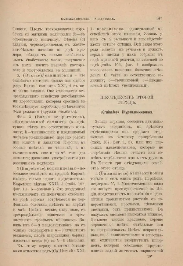 М. Вилькоммъ - Ботанический атлас - Страница № 163