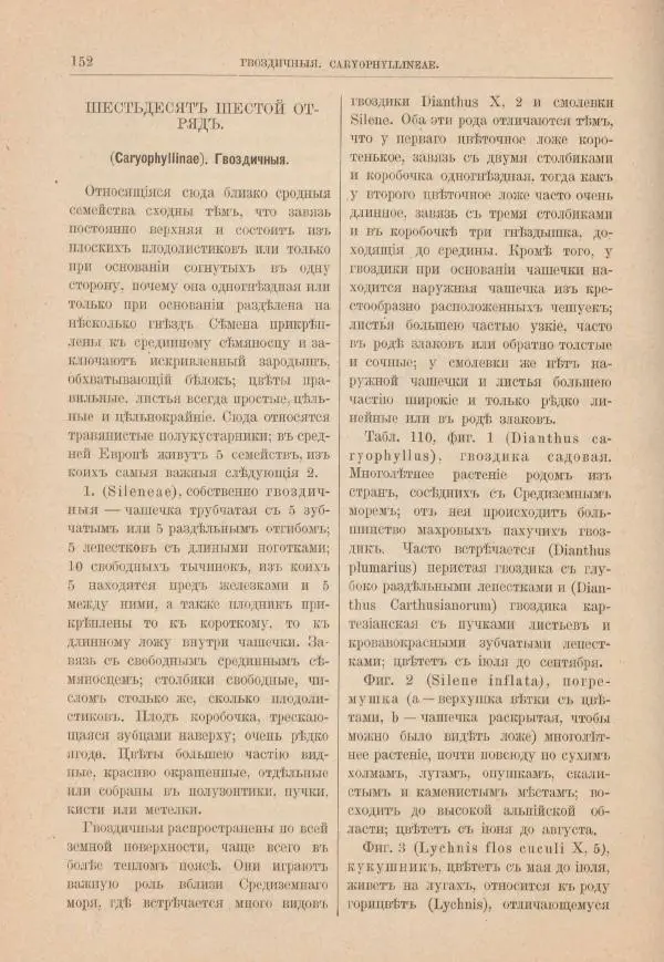М. Вилькоммъ - Ботанический атлас - Страница № 168
