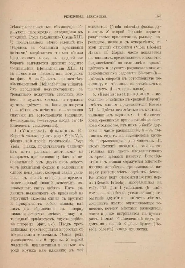 М. Вилькоммъ - Ботанический атлас - Страница № 171