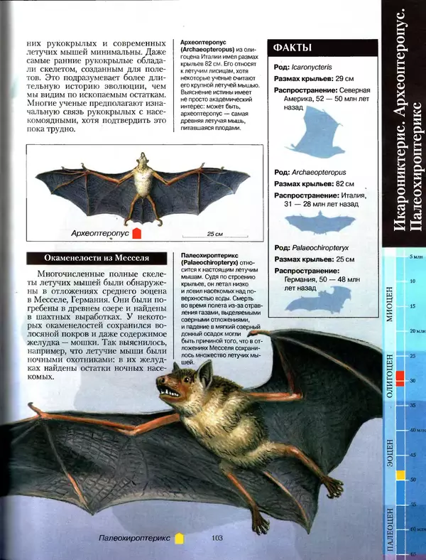 Алан Тернер - Большая энциклопедия доисторических животных - Страница № 102