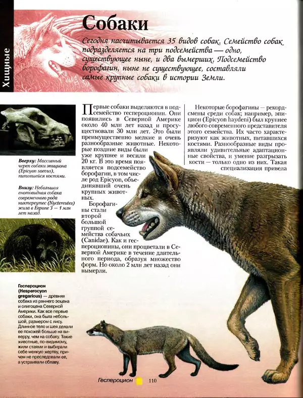 Алан Тернер - Большая энциклопедия доисторических животных - Страница № 109
