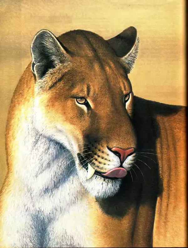 Алан Тернер - Большая энциклопедия доисторических животных - Страница № 121