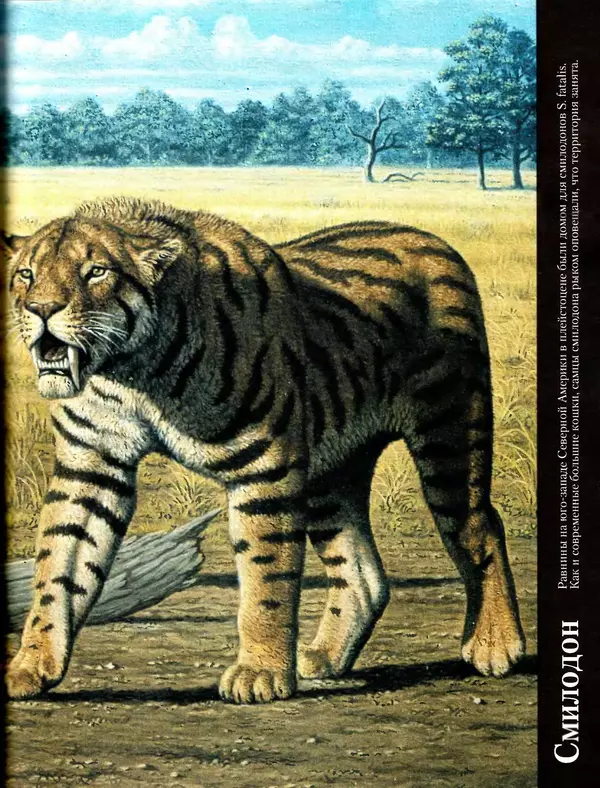 Алан Тернер - Большая энциклопедия доисторических животных - Страница № 126