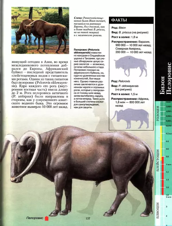 Алан Тернер - Большая энциклопедия доисторических животных - Страница № 156