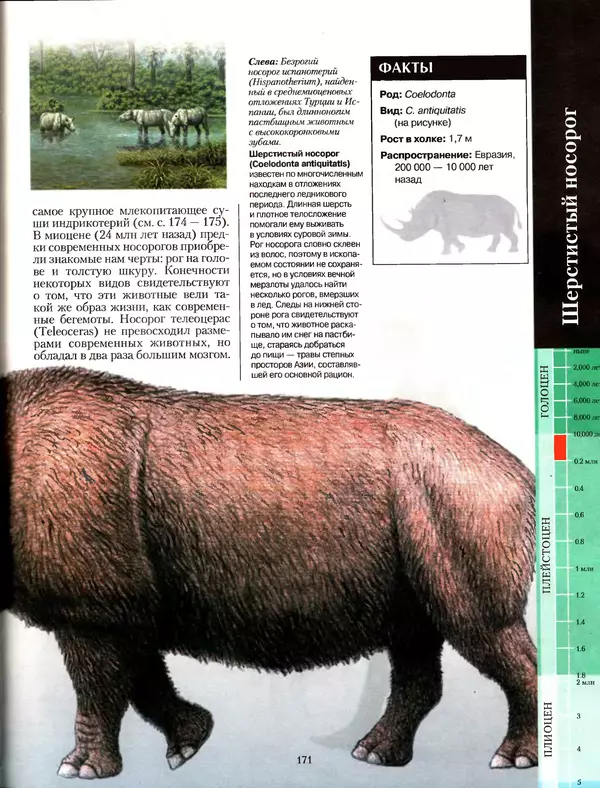 Алан Тернер - Большая энциклопедия доисторических животных - Страница № 170