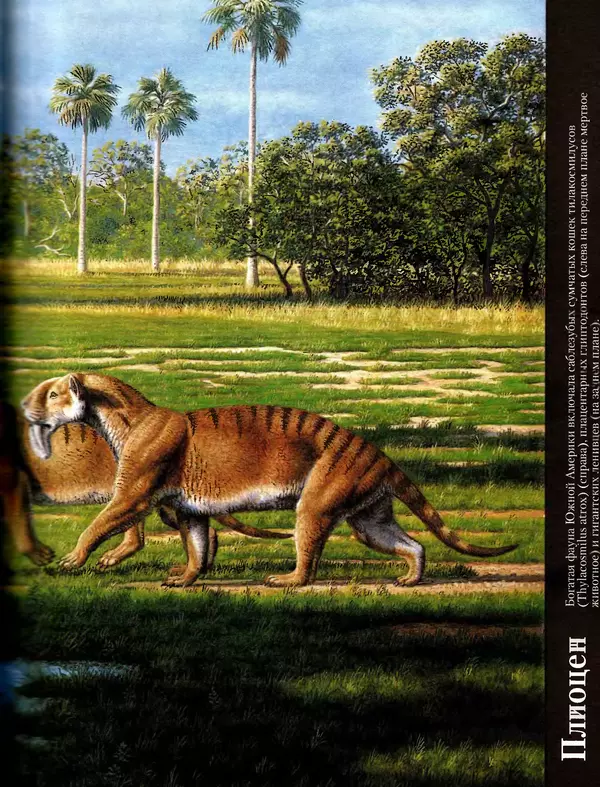 Алан Тернер - Большая энциклопедия доисторических животных - Страница № 18