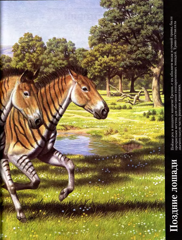 Алан Тернер - Большая энциклопедия доисторических животных - Страница № 180